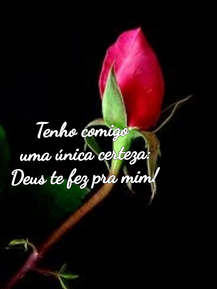 AMOR