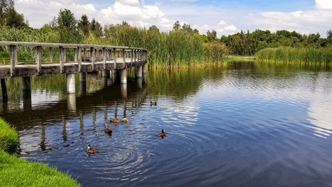 LAGO DE XOCHIMILCO, MÉXICO.