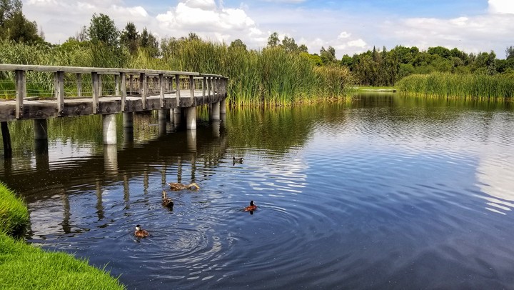LAGO DE XOCHIMILCO, MÉXICO.