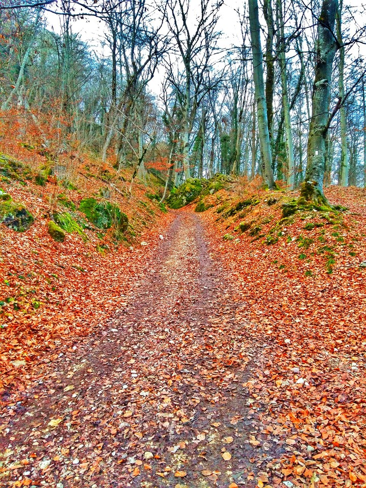 badurach