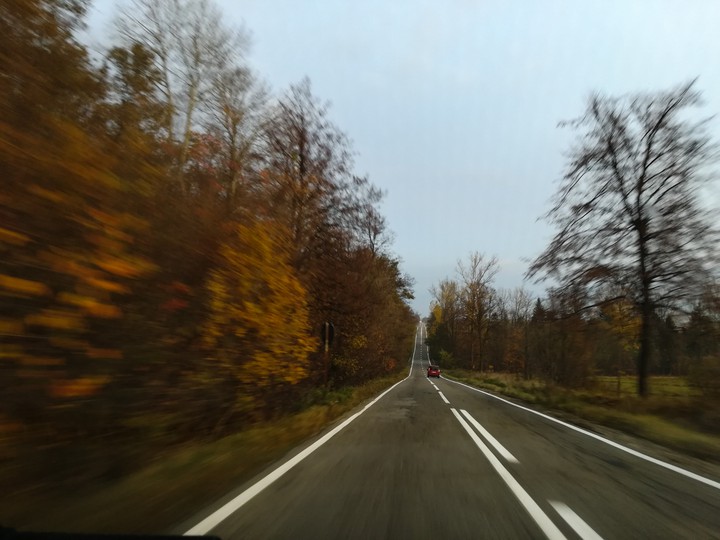 #autumn