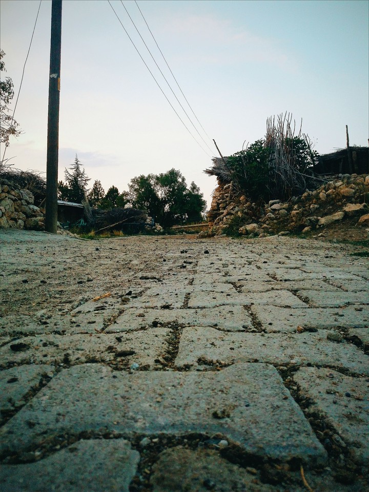 Köy