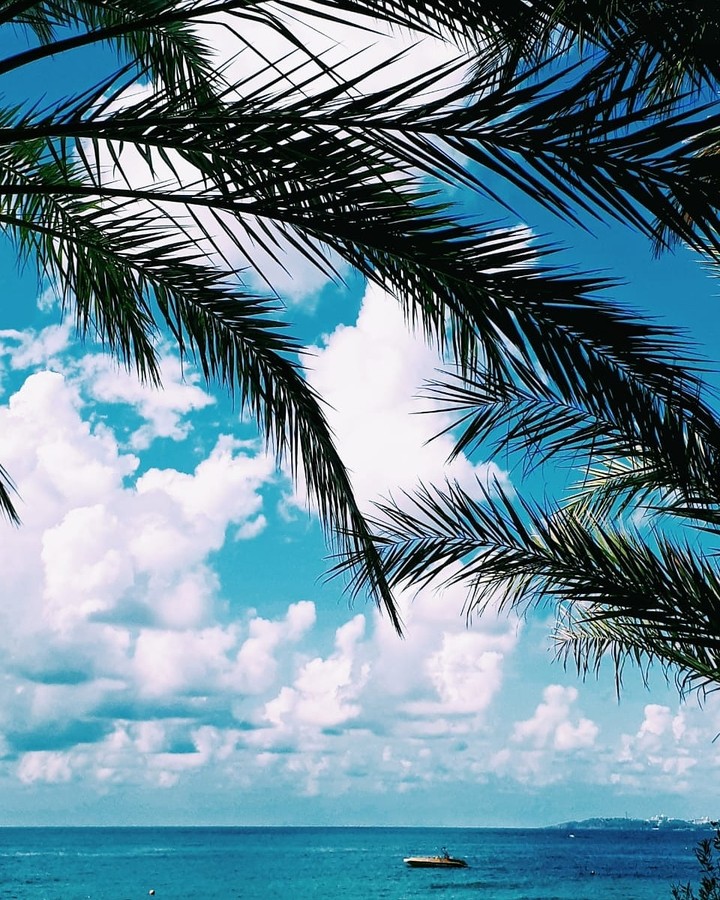 sea_sky_summer