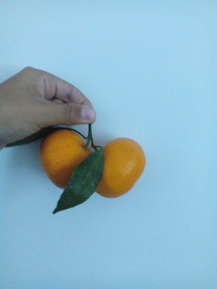 MANDARINS