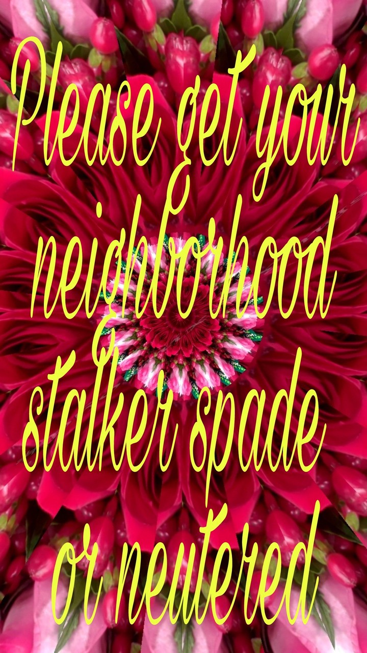 Don't be a stalking troll