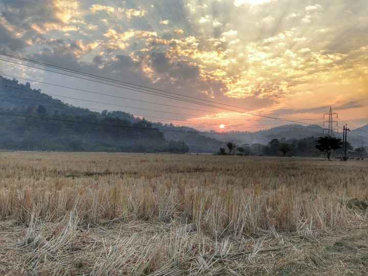 Evening hues
