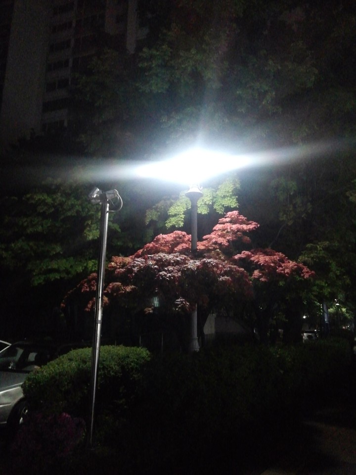 불빛아래