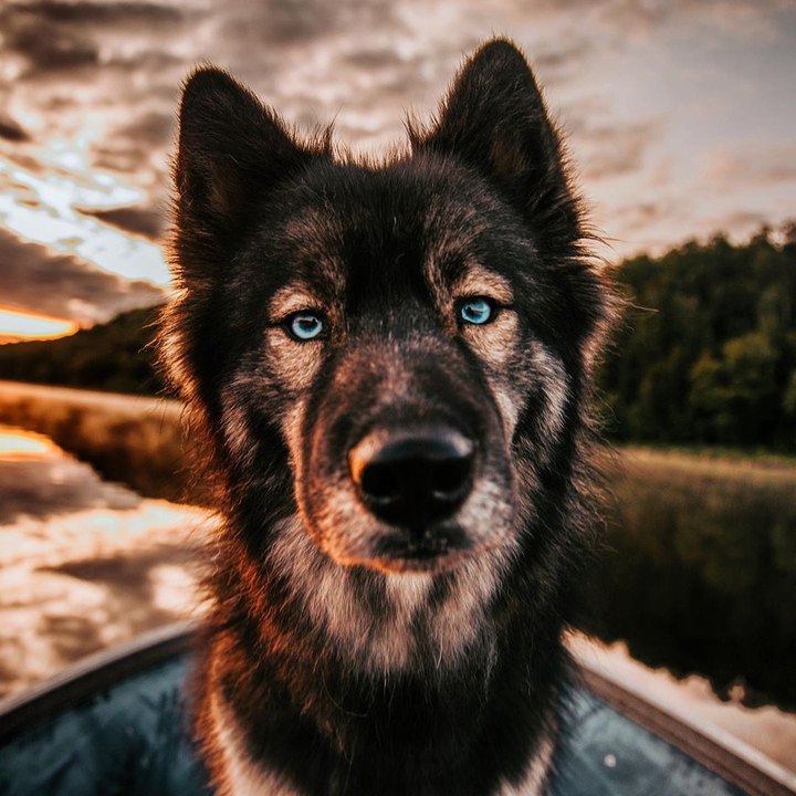∆