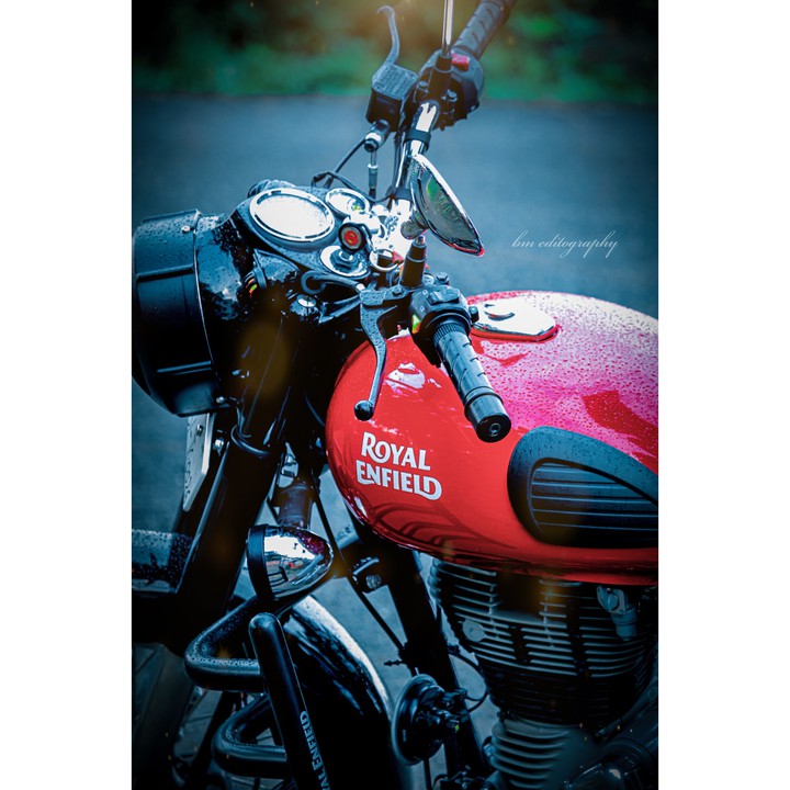 bullet lover