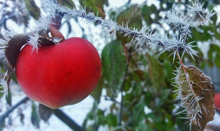 winter