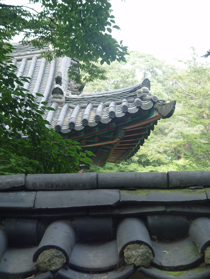 동양이미지
