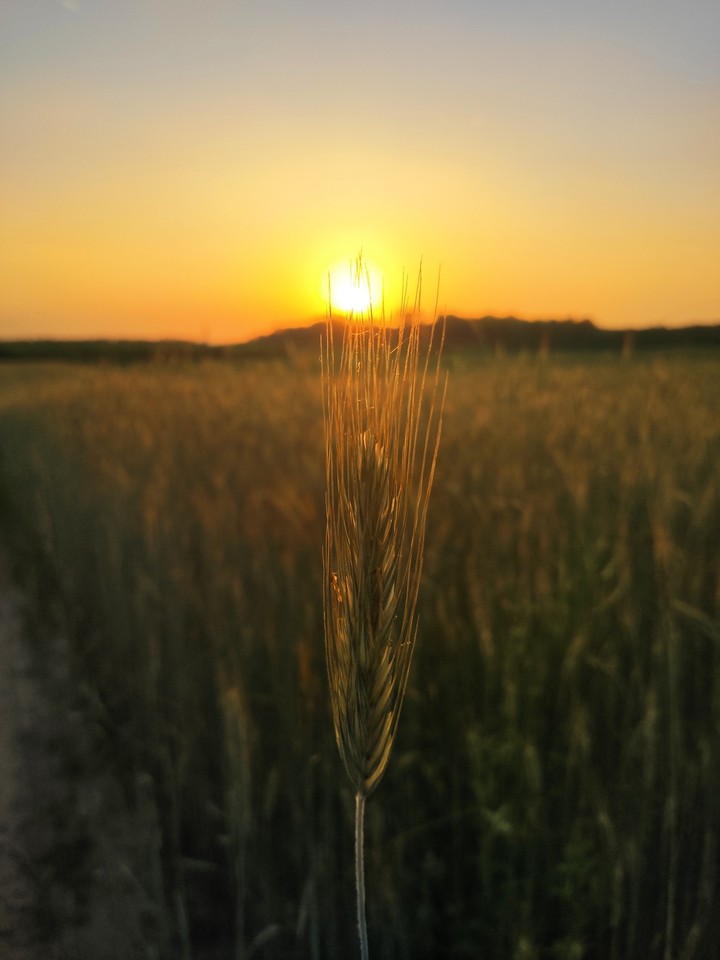 Sun down