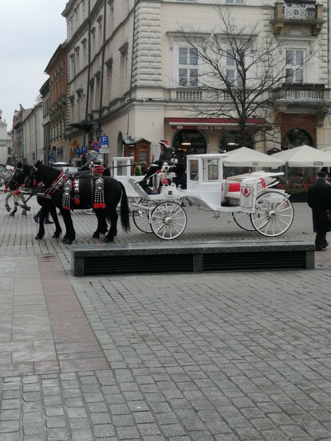 Краков