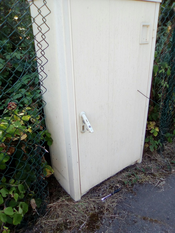 Moy 1