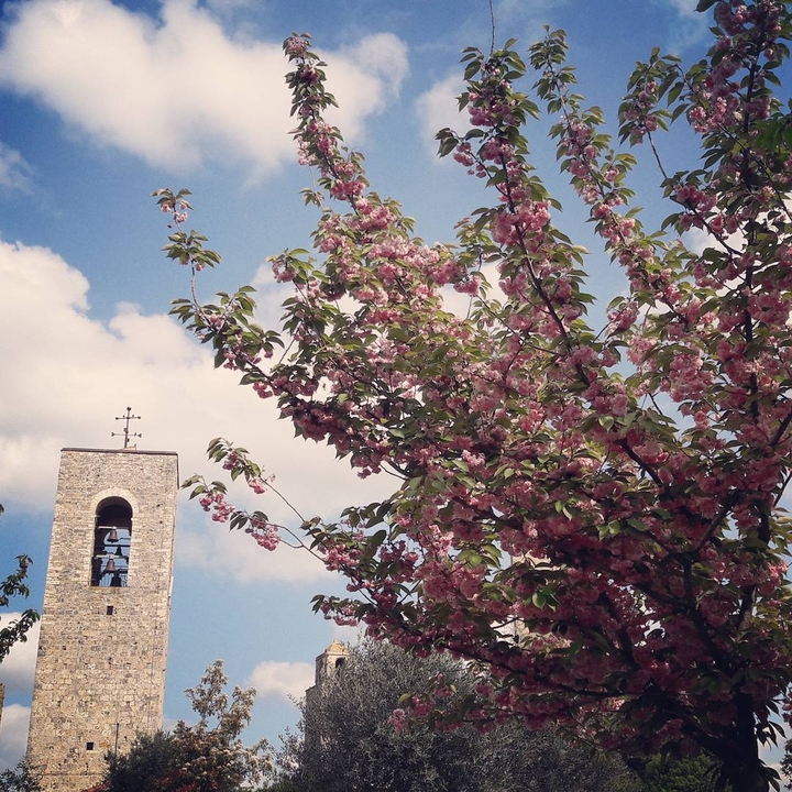 Frühling