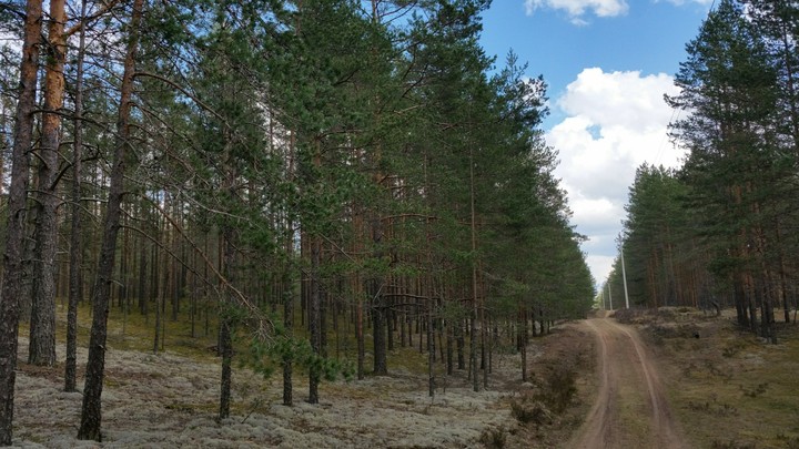Дорога