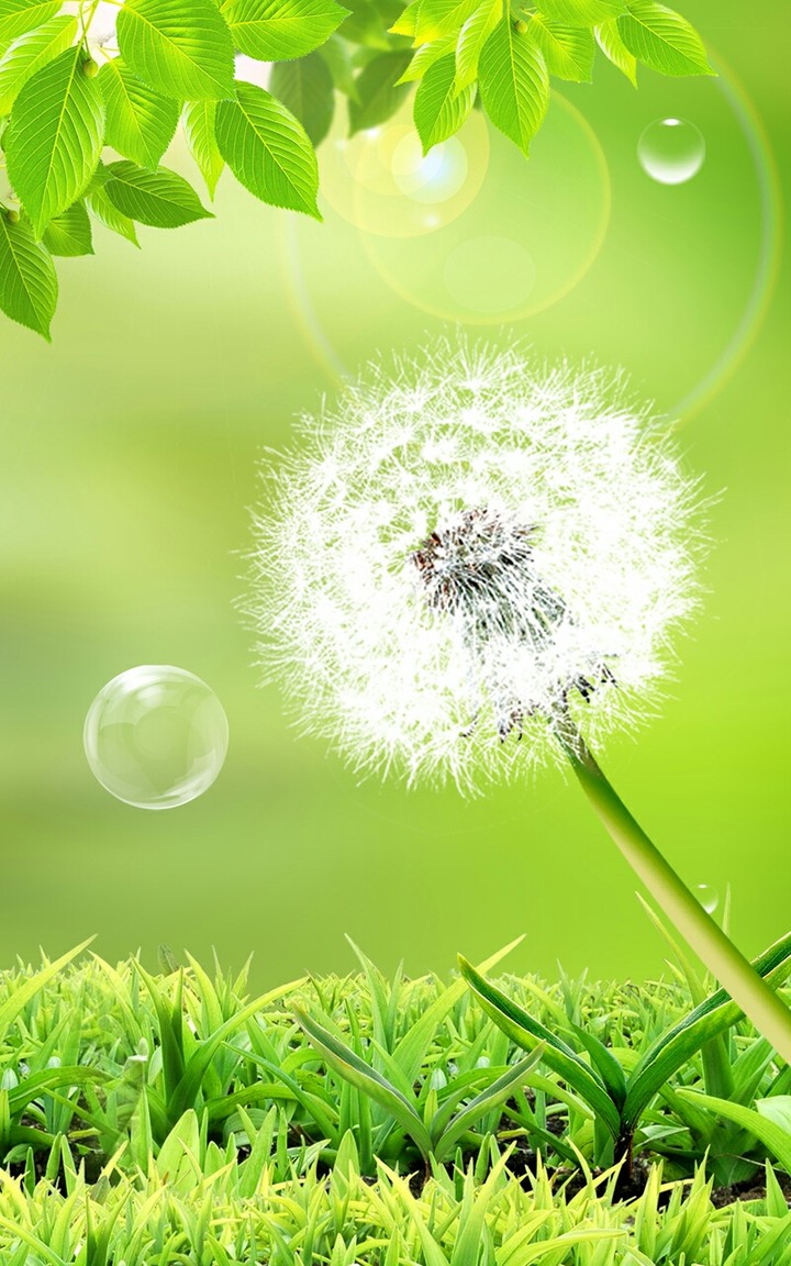 Nature