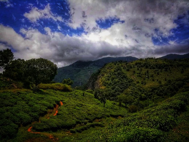 Udhagamandalam a.k.a Ooty, Tamil Nadu, India...