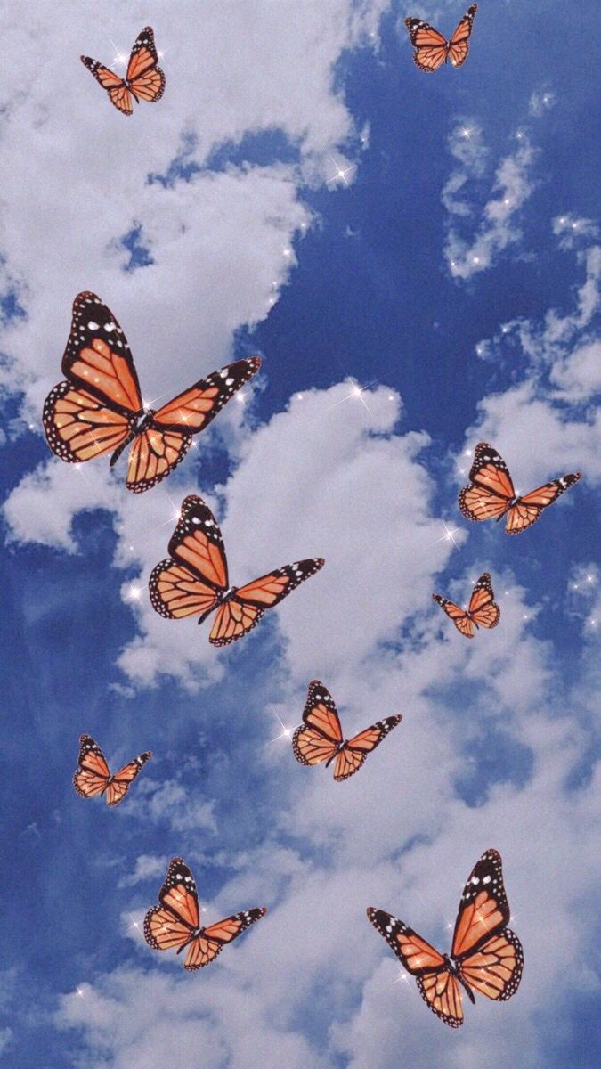 borboleta