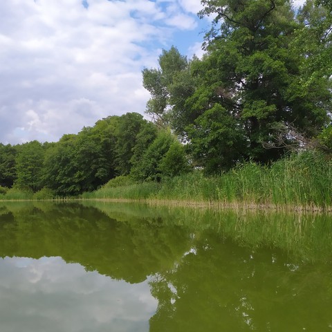Отражения. Reflections.