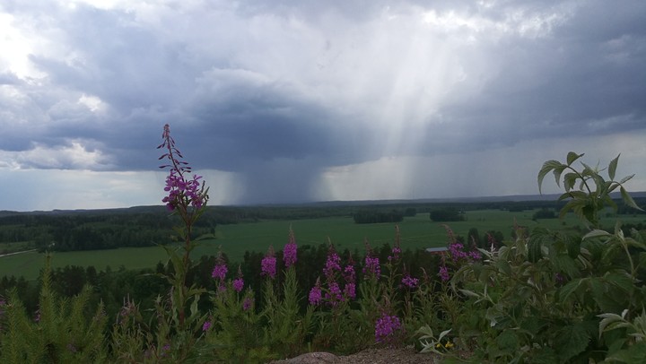 Summer rain & thunder