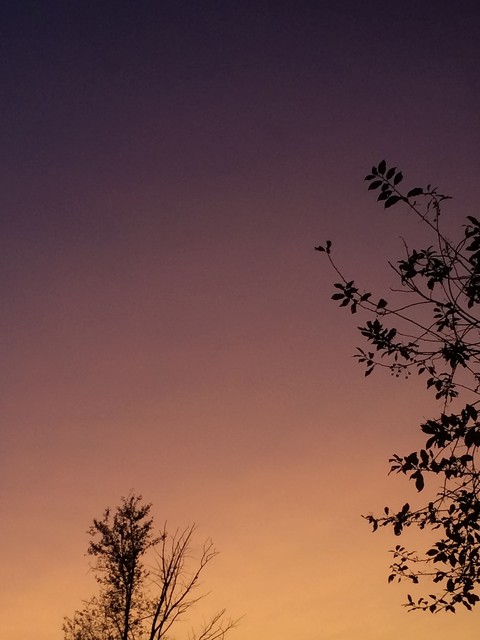 обои sunrise, sunlight