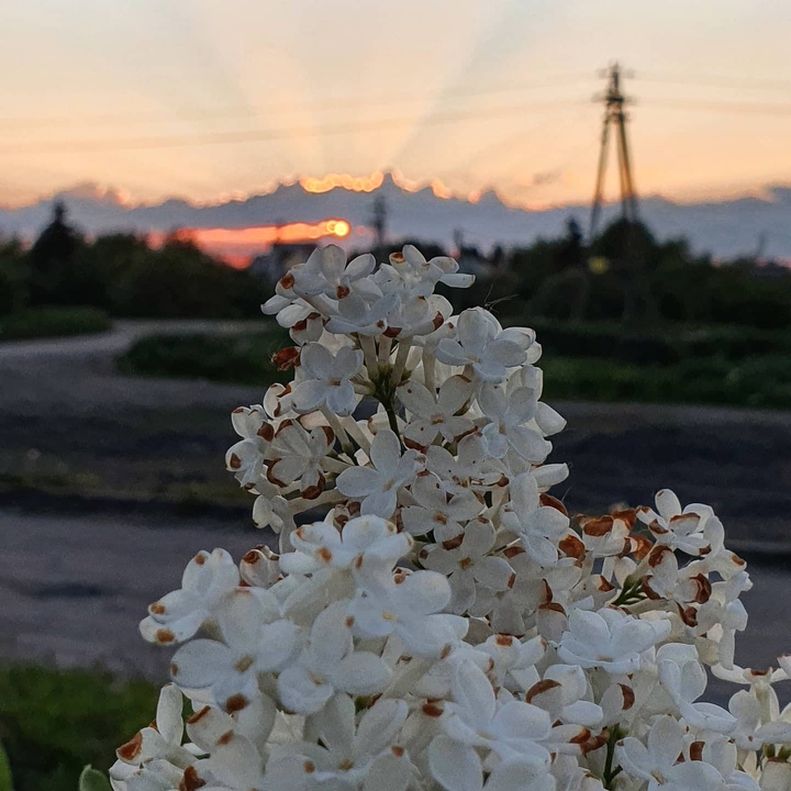 закат