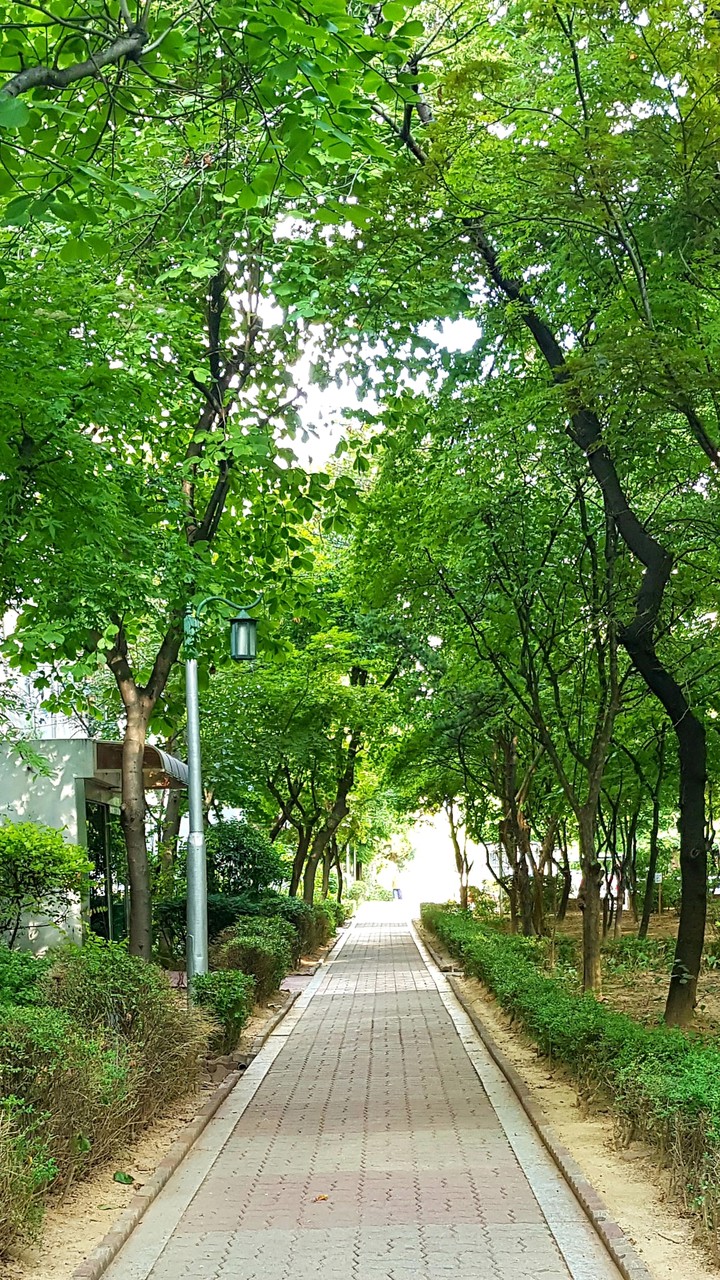 숲길