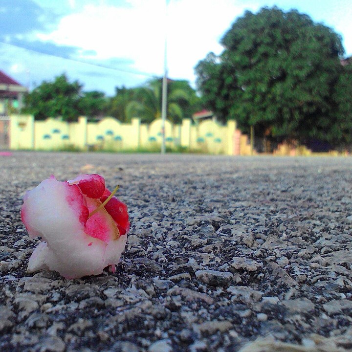 Lonely
