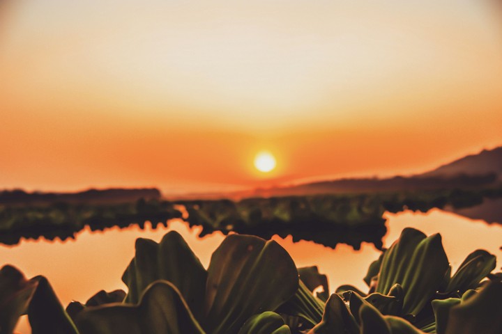 Sunset !!