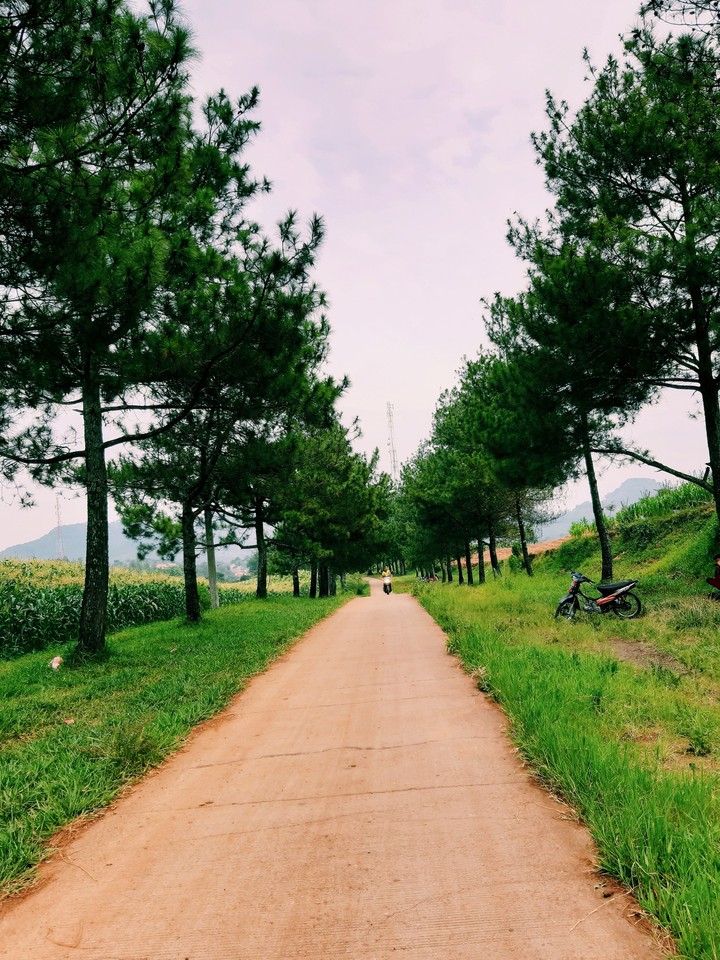 village street