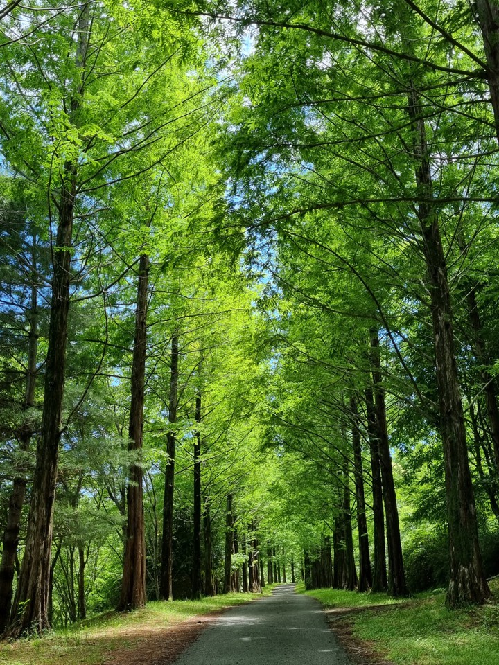 함께 걸을까요?