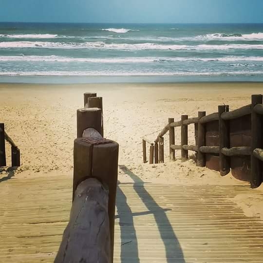 Litoral Catarinense