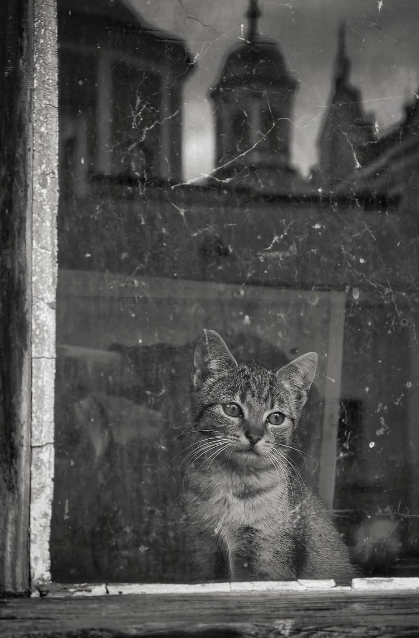 Photograph, Glass, Black_and_white