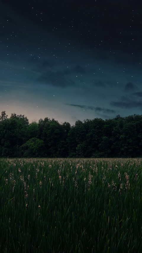 agriculture, star háttérképek