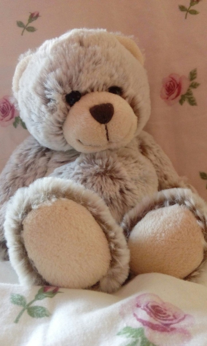 Teddy Bear