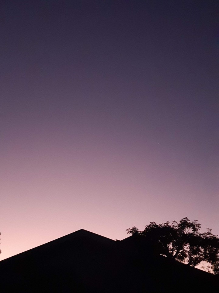 Lilac twilight