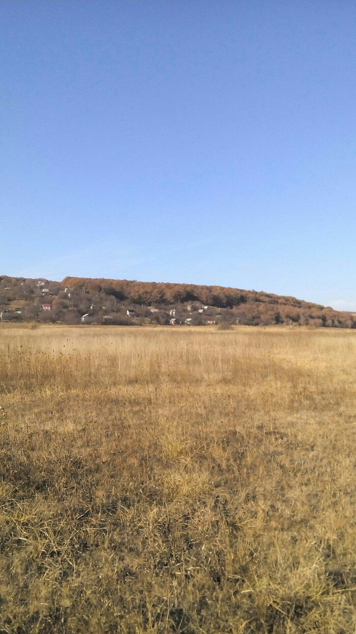 дача