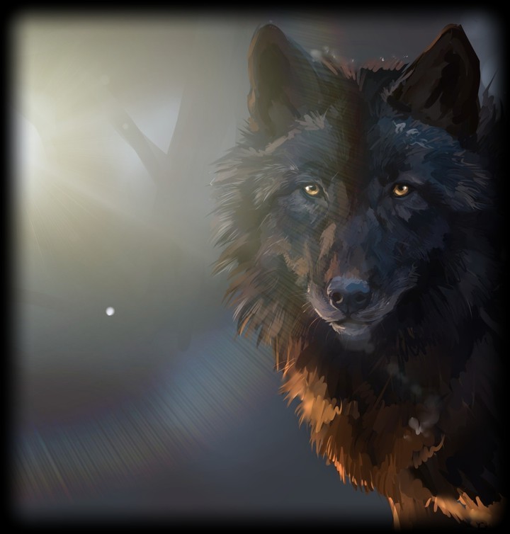 OUR Protector