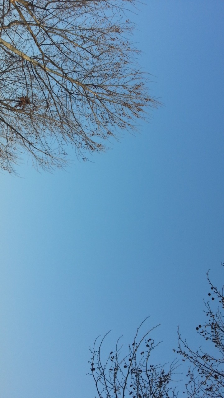 Empty Sky 1