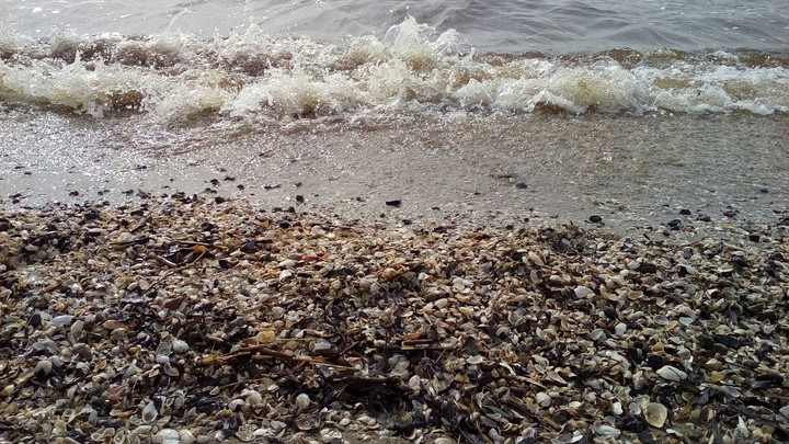 Colliding waves