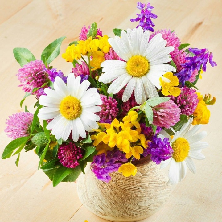 Flowers цветочки