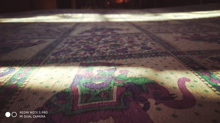 sun ray through out the window