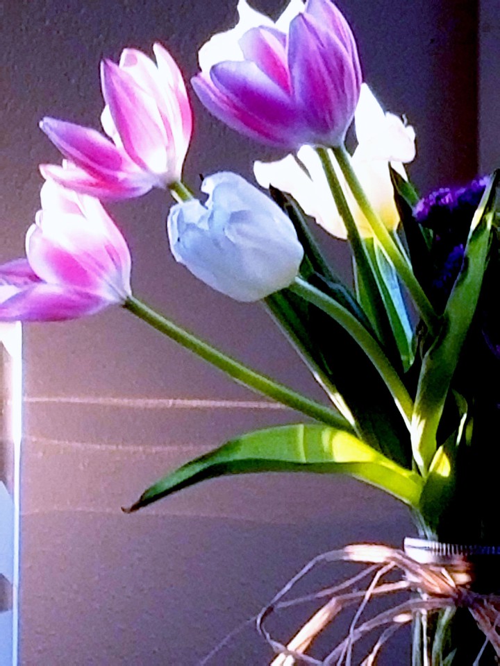 Easter Tulips