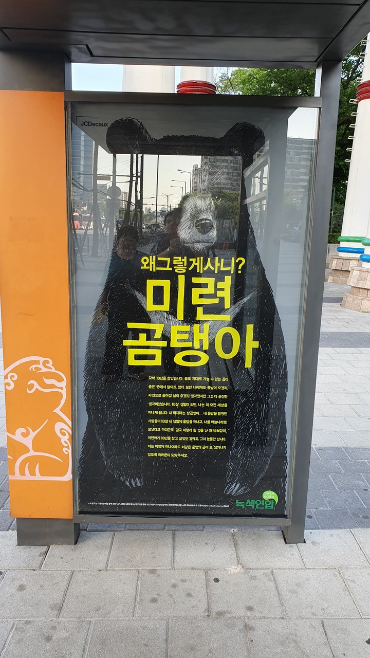 미련 곰탱이