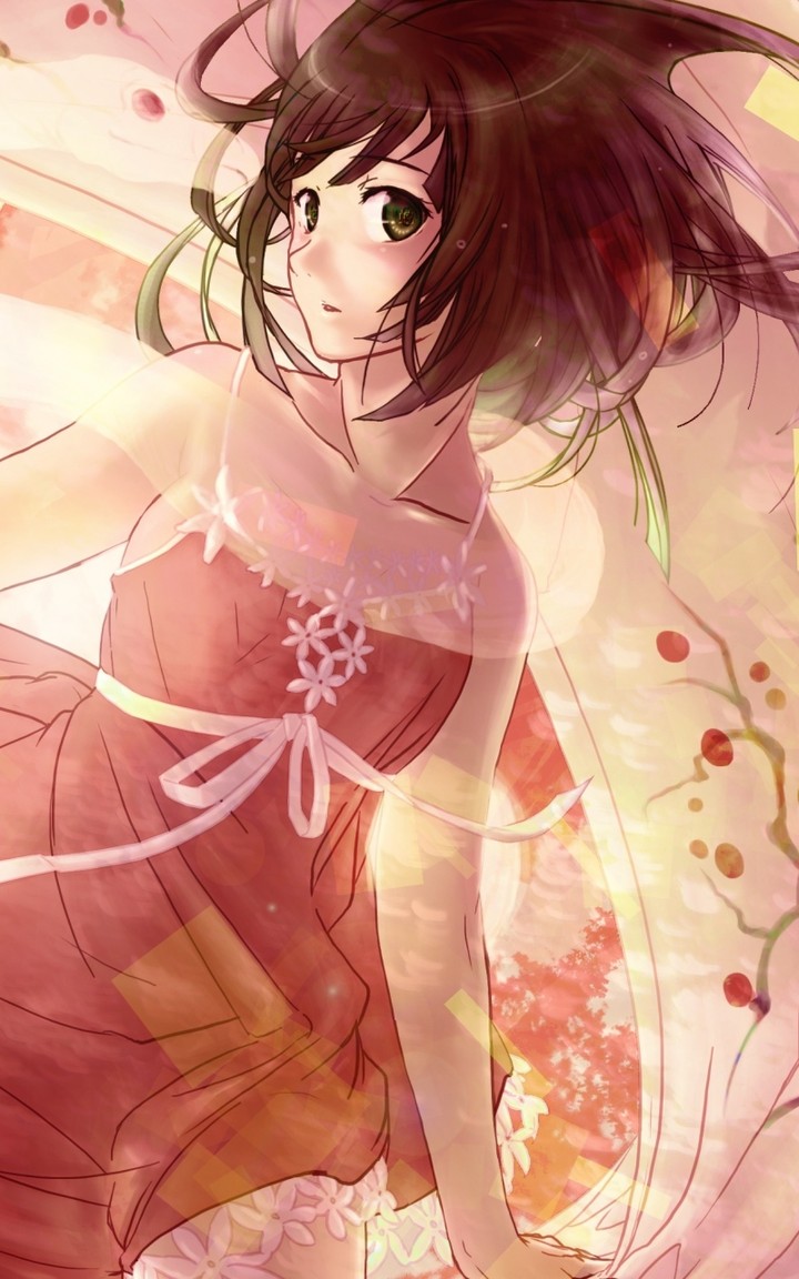 kisaragi yuki emirio, sengoku nadeko