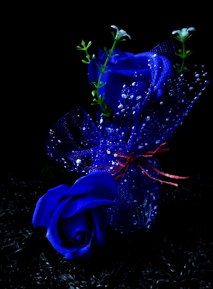 nice photo