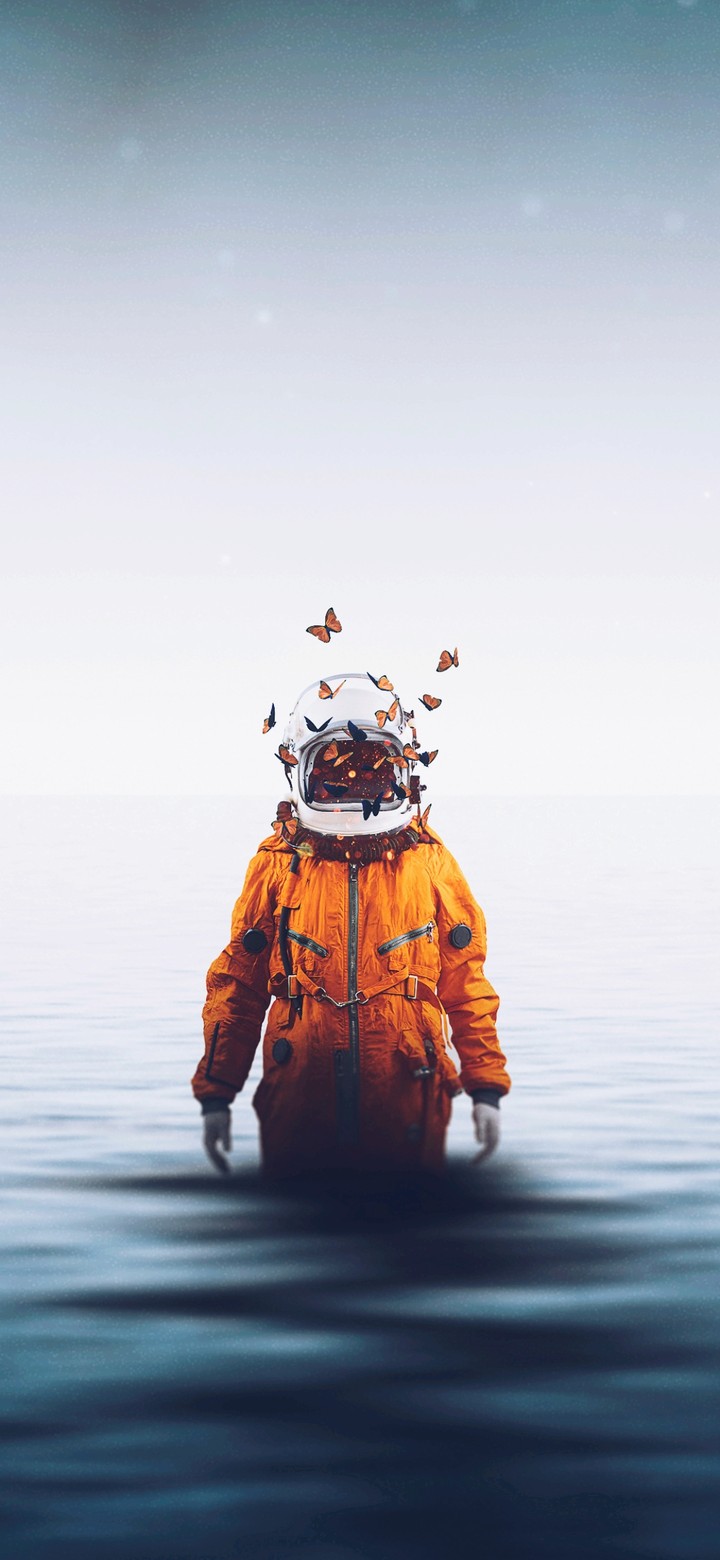 Astronaut with it's Butterfly