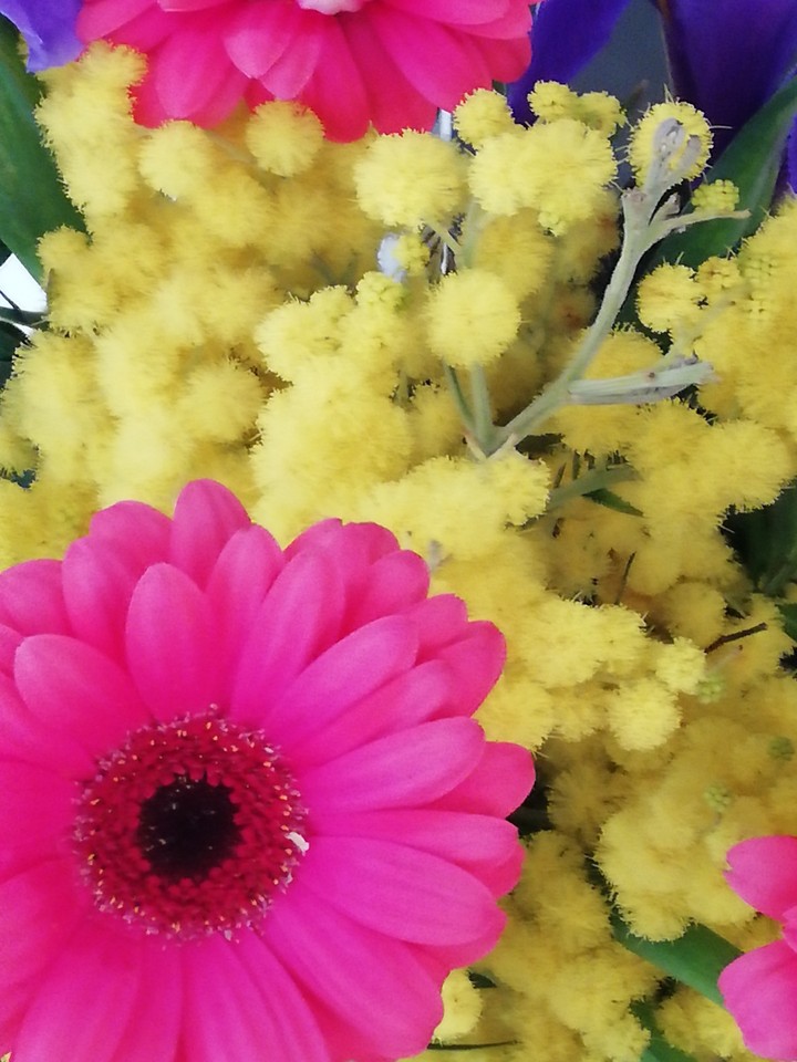 beauty
