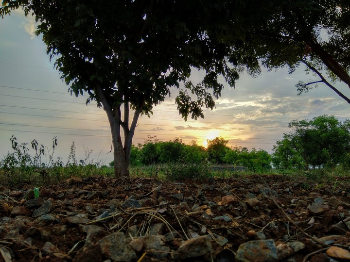 sunset